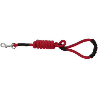 Laisse pour chien avec poignée Riding World Lucky Laisse pour chien avec poignée Riding World Lucky