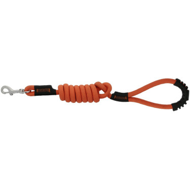 Laisse pour chien avec poignée Riding World Lucky Laisse pour chien avec poignée Riding World Lucky