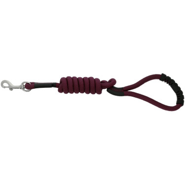 Laisse pour chien avec poignée Riding World Lucky Laisse pour chien avec poignée Riding World Lucky