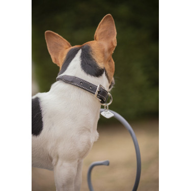 Collier pour chien Pénélope Olie Collier pour chien Pénélope Olie