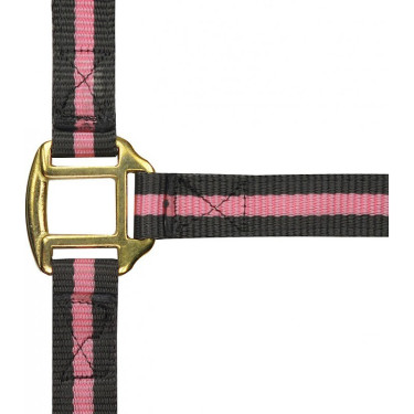 Licol nylon doublé cuir Norton Licol nylon doublé cuir Norton