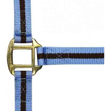 Licol nylon doublé cuir Norton Licol nylon doublé cuir Norton