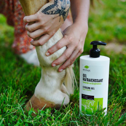 Gel rafraîchissant Ekinat