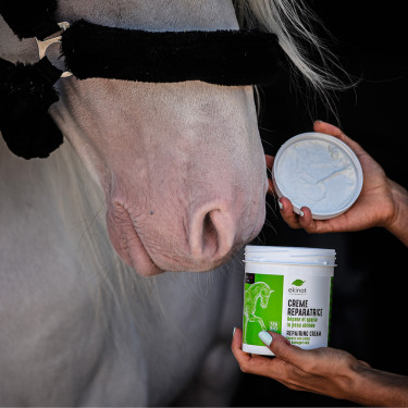 Crème réparatrice Ekinat Crème réparatrice Ekinat