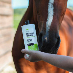 Shampooing Universel Ekinat