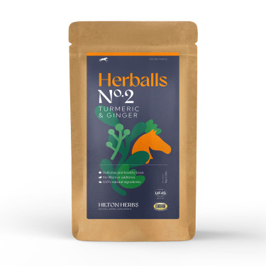 Herballs N° 2 Curcuma & Gingembre Hilton Herbs Herballs N° 2 Curcuma & Gingembre Hilton Herbs