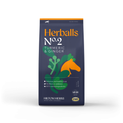 Herballs N° 2 Curcuma & Gingembre Hilton Herbs