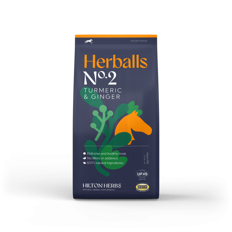 Herballs N° 2 Curcuma & Gingembre Hilton Herbs Herballs N° 2 Curcuma & Gingembre Hilton Herbs