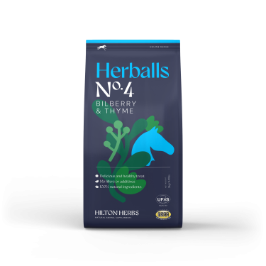 Herballs N° 4 Myrtille & Thym Hilton Herbs Herballs N° 4 Myrtille & Thym Hilton Herbs