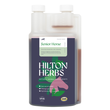 Senior Horse Gold Hilton Herbs Senior Horse Gold Hilton Herbs
