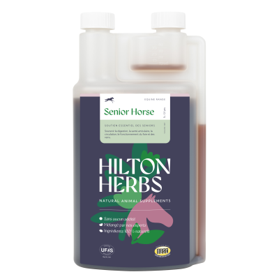 Senior Horse Gold Hilton Herbs