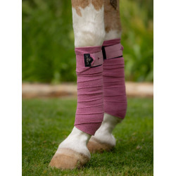 Bandes de polo LeMieux Luxury Peony Bandes de polo LeMieux Luxury Peony