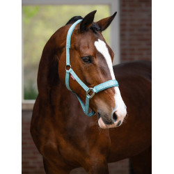 Licol LeMieux Logo Lagoon Bleu