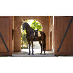 Tapis LeMieux Suede Dressage Square Mimosa