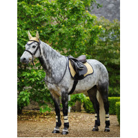 Tapis LeMieux Suede GP Square Mimosa