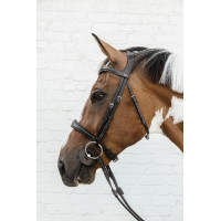 Muserolle Anatomique Sans Sous Barbe New English Collection Dy'on Noir