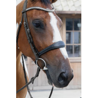 Muserolle Anatomique sans Sous Barbe Collection US Jumping Dy'on Noir