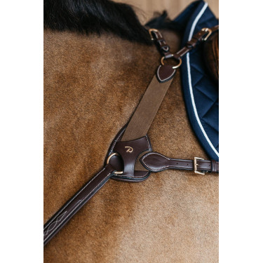 Protection collier de chasse 5 points elastique Dy'on Protection collier de chasse 5 points elastique Dy'on