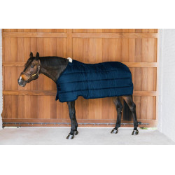 Liner Kentucky Turnout rug Comfort