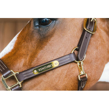 Licol en cuir Wellington Kentucky Licol en cuir Wellington Kentucky