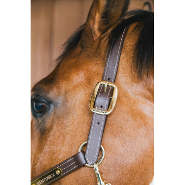 Licol en cuir Wellington Kentucky Licol en cuir Wellington Kentucky