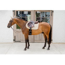 Tapis onion quilt 3D logo jumping beige Kentucky Tapis onion quilt 3D logo jumping beige Kentucky