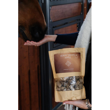 Friandise cheval Grooming Deluxe Pomme