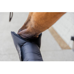 Stable boots PROtect pour antérieurs version longue Kentucky Noir