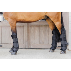 Stable boots PROtect pour antérieurs version longue Kentucky Noir