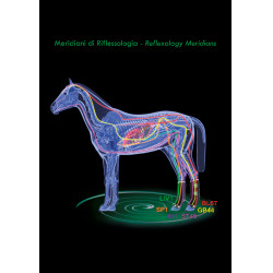 Guêtres thérapeutique Zandona Air postérieurs Noir Guêtres thérapeutique Zandona Air postérieurs Noir