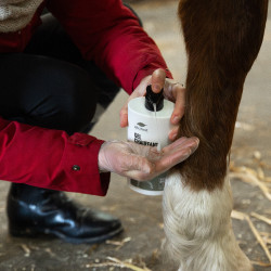 Gel chauffant Ekinat