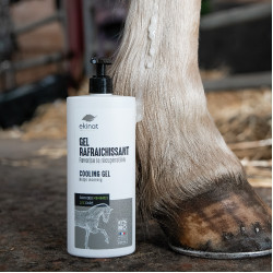 Gel rafraîchissant Ekinat
