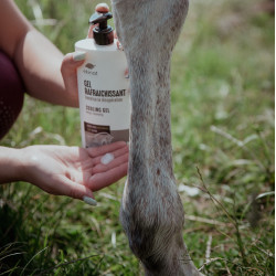 Gel rafraîchissant Ekinat