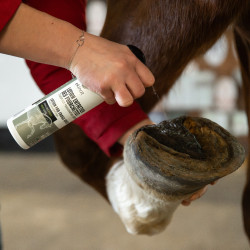 Lotion entretien des fourchettes Ekinat