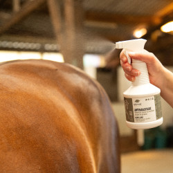 Spray Antiparasite Ekinat