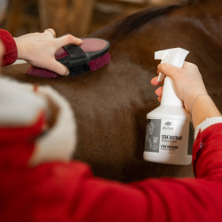 Spray Xtra' Lustrant Ekinat Spray Xtra' Lustrant Ekinat