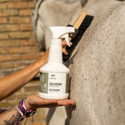 Spray Xtra' Lustrant Ekinat Spray Xtra' Lustrant Ekinat