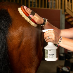 Spray Xtra' Lustrant Ekinat Spray Xtra' Lustrant Ekinat