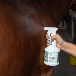 Spray Xtra' Lustrant Ekinat Spray Xtra' Lustrant Ekinat