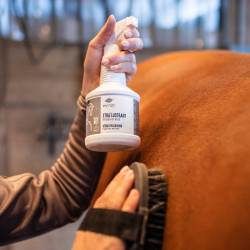 Spray Xtra' Lustrant Ekinat Spray Xtra' Lustrant Ekinat