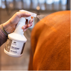 Spray Xtra' Lustrant Ekinat Spray Xtra' Lustrant Ekinat