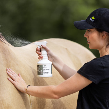 Spray Xtra' Lustrant Ekinat Spray Xtra' Lustrant Ekinat