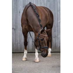 Bridon Kopenhagen HKM Noir Bridon Kopenhagen HKM Noir