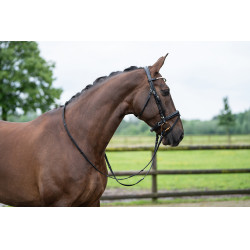 Bridon Kopenhagen HKM Noir Bridon Kopenhagen HKM Noir