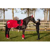 Bonnet HFI Velvet Rouge