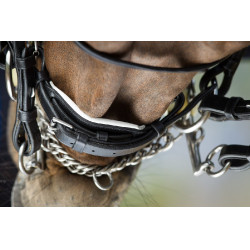 Bride convertible bridon Weymouth HFI Noir / noir