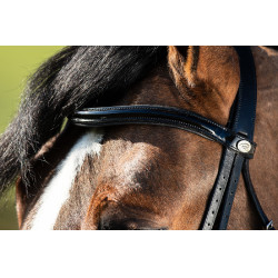 Bride convertible bridon Weymouth HFI Noir / noir