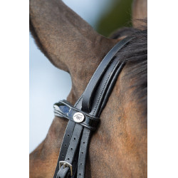 Bride convertible bridon Weymouth HFI Noir / noir