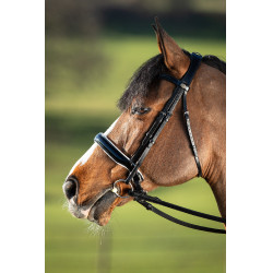 Bride convertible bridon Weymouth HFI Noir / noir