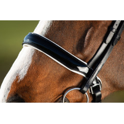 Bride convertible bridon Weymouth HFI Noir / noir